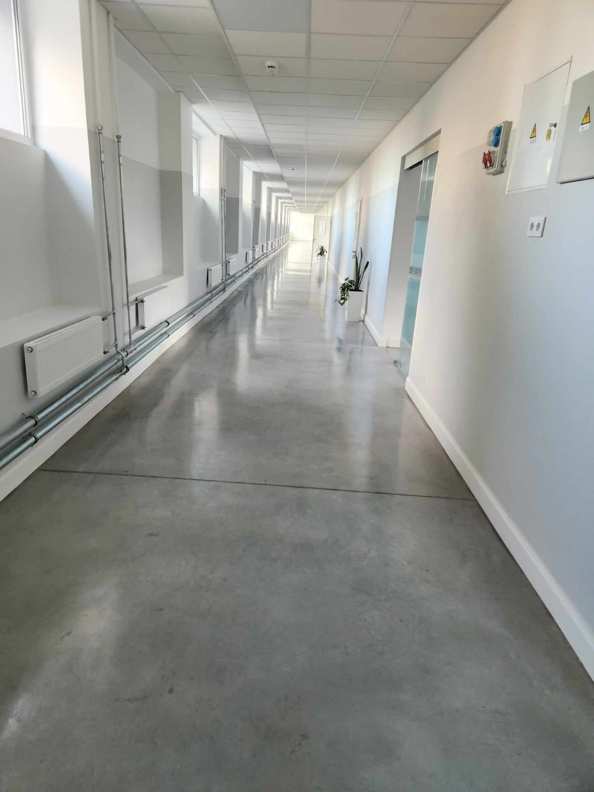 Mokyklos sporto salė ir sanitariniai mazgai – darbų nuotrauka